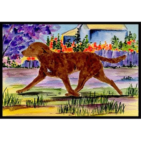 Carolines Treasures Carolines Treasures SS8435MAT 18 x 27 in. Chesapeake Bay Retriever Indoor Outdoor Doormat SS8435MAT